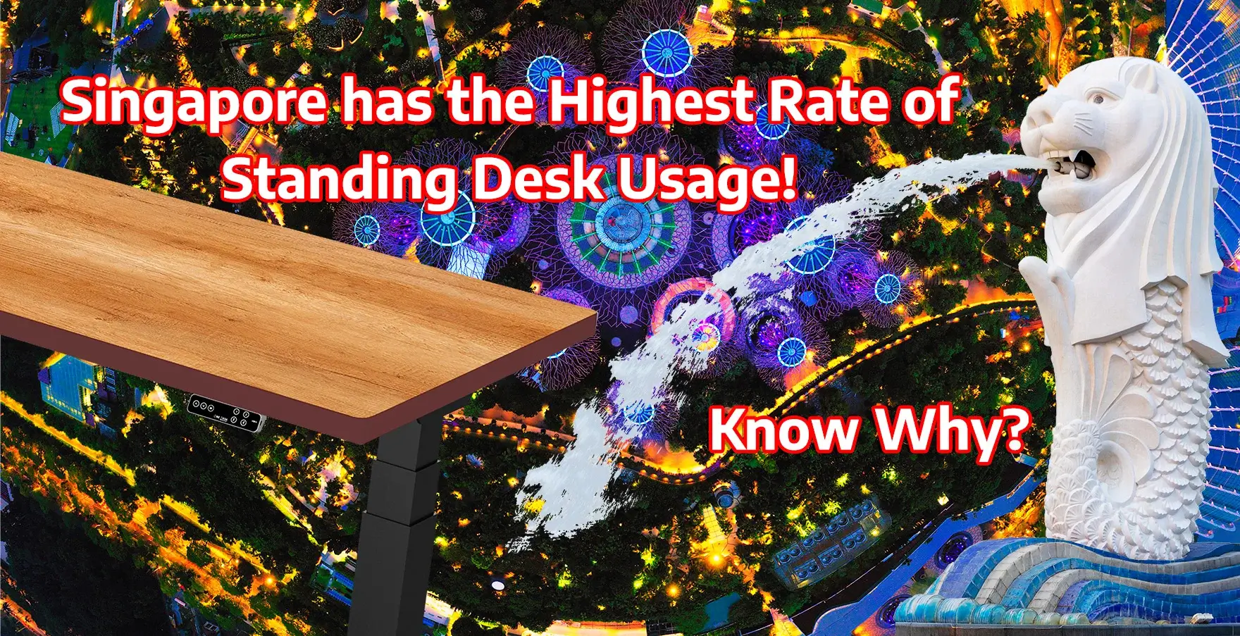 highest rating usage standing desks Singapore